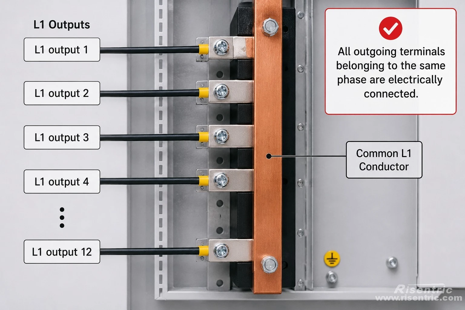 L1 output 1  ─┐
L1 output 2  ─┤
L1 output 3  ─┼── common L1 conductor
L1 output 4  ─┤
...           │
L1 output 12 ─┘
