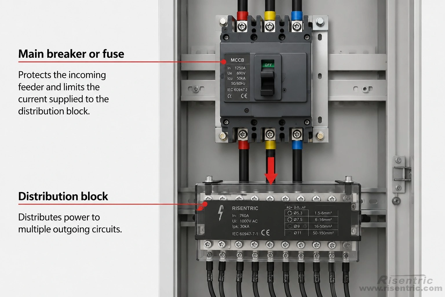 The upstream breaker or fuse protects the incoming feeder and limits the current supplied to the distribution block.